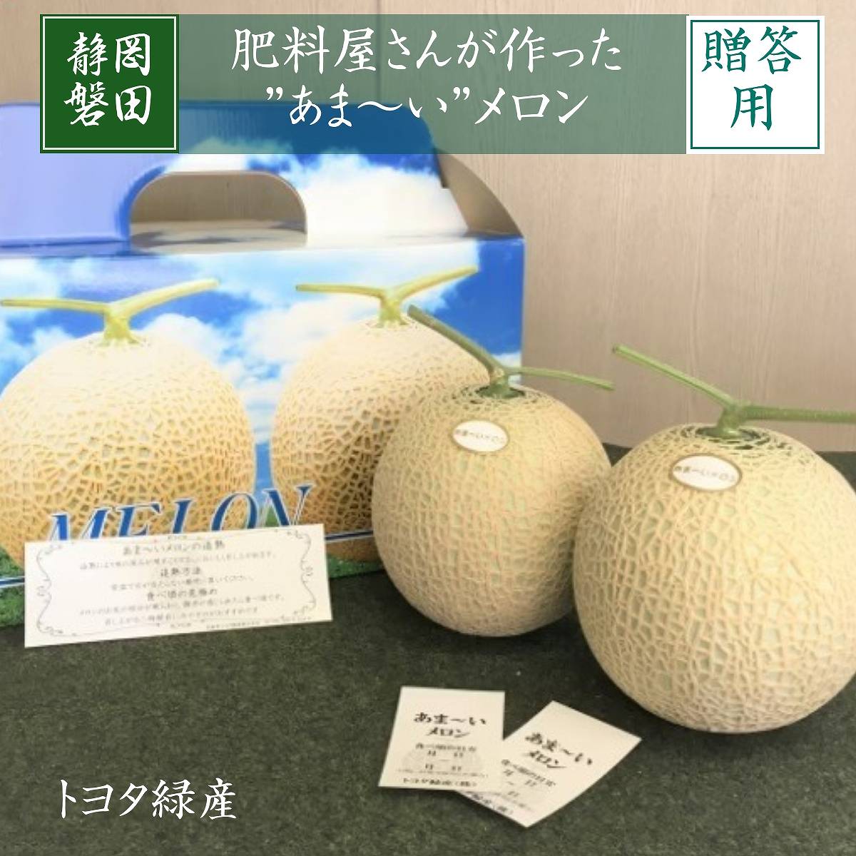 メロン 【トヨタ緑産】 肥料屋さんが作った あま~いメロン 2玉 2.4kg 贈答用 静岡県磐田市