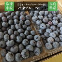 ブルーベリー  冷凍ブルーベリー 中粒以上 3kg(1kg×3箱) 国産 福島県 三春町 冷凍 フルーツ 果物