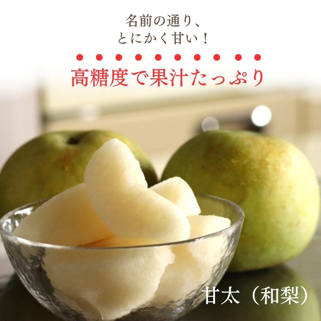 梨 【 フルーツランド外塚農園 】 甘太 3kg 5～6個 贈答用 茨城県かすみがうら市《...