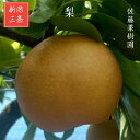 梨 【 佐藤果樹園 】 5kg 8~12個 贈答用化粧箱入り 新潟県三条市 《9/中旬~9/下旬より出荷》
