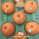 梨 【 乙連沢梨園 】大きい にっこり 5kg 6~8個 贈答用 プレゼント 栃木県 《10/中旬~10下旬より出荷》