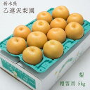 梨 【 乙連沢梨園 】 5kg 10~14個 贈答用 プレゼント 栃木県 《9/上旬より出荷》