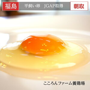 平飼い卵 【こころんファーム養鶏場】 卵 たまご ここたま 50個 朝取 M L LL サイズ混合 3.5kg JGAP 自家配合飼料 地下水 福島県 平飼