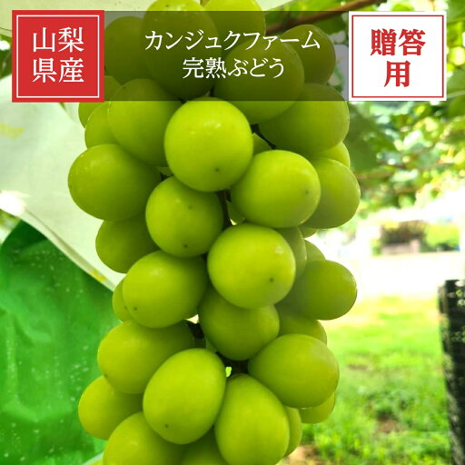 ぶどう 【カンジュクファーム】 葡萄 シャインマスカット 2房 1kg 贈答用 山梨県 《8/下旬~9/上旬より出荷》 ぶどう 【カンジュクファーム】 葡萄 シャインマスカット 2房 1kg 贈答用 山梨県 《8/下旬~9/上旬より出荷》