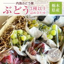 ぶどう 【内海ぶどう園】 葡萄 詰合せ 品種お任せ 4kg 8~12房 贈答用 栃木県栃木市