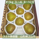 洋梨 【スミヤ果樹園】 洋なし ラ・フランス 約3kg 特秀 2L~4L 8~10玉 贈答用 山形県上山市 ラフランス 《11/上旬~11/中旬より出荷》