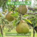 洋梨 【スミヤ果樹園】 洋なし ラ・フランス 約5kg 秀 2L~4L 14~18玉 山形県上山市 ラフランス 《11/上旬~11/中旬より出荷》