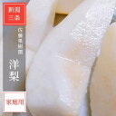 洋梨 【佐藤果樹園】 洋なし ル・レクチェ 2kg 5~7玉 訳あり ご家庭用 新潟県 ルレクチェ 《11/下旬~12/上旬より出荷》