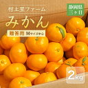 みかん 【柑土里ファーム】 三ヶ日みかん 2kg 贈答用 糖度12度前後 静岡県 三ヶ日 《11/下旬~12/上旬より出荷開始》(4)