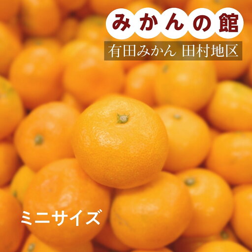 みかん 【みかんの館】 有田みかん ブランド産地 田村地区産 ちびみかん ミニミニ ぷちすぃーと 10kg S以下 和歌山県 蜜柑 ミカン 柑橘 《12/中旬~12/下旬より出荷》 みかん 【みかんの館】 有田みかん ブランド産地 田村地区産 ちびみかん ミニミニ ぷちすぃーと 10kg S以下 和歌山県 蜜柑 ミカン 柑橘 《12/中旬~12/下旬より出荷》