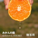 みかん 【みかんの館】 有田みかん ブランド産地 田村地区産 光の雫 贈答用 特秀 S 55~65個 5kg 和歌山県 蜜柑 ミカン 柑橘 《11/下旬〜12/...