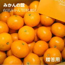 みかん 【みかんの館】 有田みかん ブランド産地 田村地区産 S 5kg 約60個 和歌山県 蜜柑 ミカン 柑橘 《11/上旬~11/中旬より出荷》