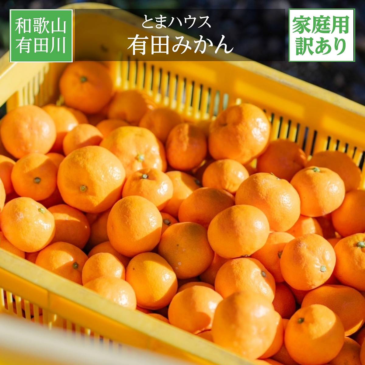 みかん 【とまハウス】 有田みかん 家庭用 訳あり 3kg 糖度11度以上 酸度0.85以下 約30玉 +補償分300g 和歌山県 蜜柑 ミカン 柑橘 《11/下旬~12/上旬より出荷》