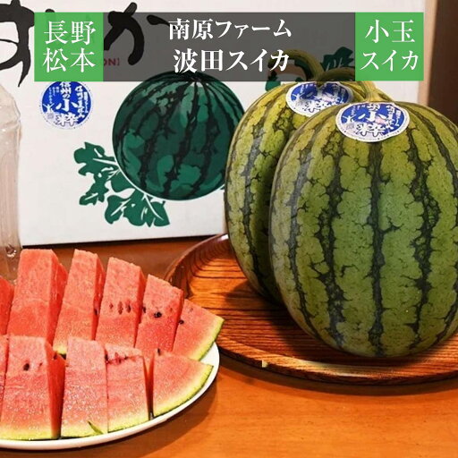 スイカ 【南原ファーム】 高級 波田スイカ 小玉スイカ 2S 2玉 長野県松本市 御中元 《7/上旬~7/中旬より出荷》 スイカ 【南原ファーム】 高級 波田スイカ 小玉スイカ 2S 2玉 長野県松本市 御中元 《7/上旬~7/中旬より出荷》