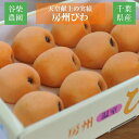 びわ  房州びわ 希少 特大ビッグ 4L 12個 1.3kg 贈答用 枇杷 千葉県南房総市 天皇献上の実績 母の日 父の日 《4/下旬～5/上旬より出荷》