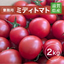 トマト 業務用 中玉トマト ミディトマト 2kg 滋賀県 10月~7月の販売