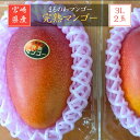 マンゴー 【まるのわマンゴー】 完熟マンゴー 3L 2個 宮崎県宮崎市 《5/上〜5/中の出荷》