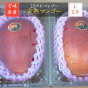 マンゴー 【まるのわマンゴー】 完熟マンゴー L 2個 宮崎県宮崎市 《5/上〜5/中の出荷》