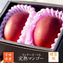 マンゴー 【ウィナーズベル】 完熟マンゴー 贈答用 4L 2個 宮崎県宮崎市 《5/上〜5/中より出荷》