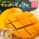 冷凍マンゴー 【メリーファーム】 マンゴーピューレ 冷凍 500g 農薬不使用 化学肥料不使用 栃木県栃木市