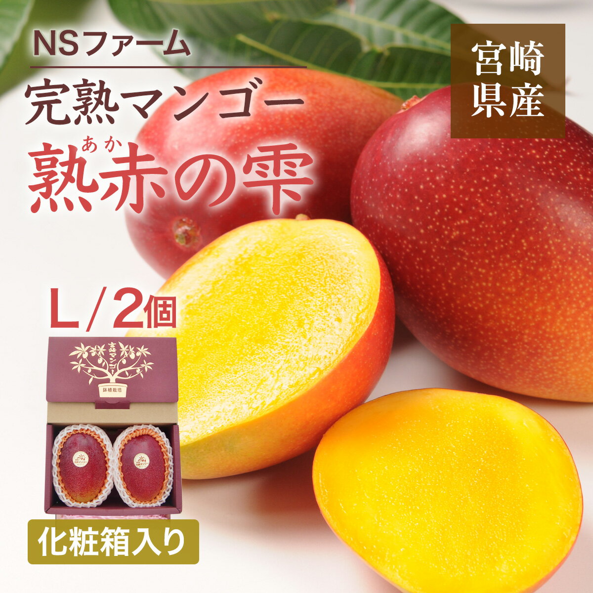 マンゴー 【NSファーム】 完熟マンゴー 糖度15度 ブランドマンゴー 熟赤の雫 L 2個 680g 贈答用 宮崎県宮崎市《6/下~7/上より出荷》