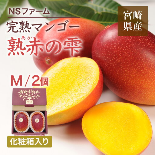 マンゴー 【NSファーム】 完熟マンゴー 糖度15度 ブランドマンゴー 熟赤の雫 M 2個 580g 贈答用 宮崎県宮崎市《6/下~7/上より出荷》 マンゴー 【NSファーム】 完熟マンゴー 糖度15度 ブランドマンゴー 熟赤の雫 M 2個 580g 贈答用 宮崎県宮崎市《6/下~7/上より出荷》