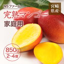 マンゴー 【NSファーム】 完熟マンゴー 850g 2~4個 家庭用 宮崎県宮崎市《6/下~7/上より出荷》