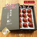 いちじく【せた農園】完熟 贈答用 L 12玉 1kg 和歌山県産 《8/中旬~8/下旬より出荷開始》 北海道・沖縄県は配送未対応
