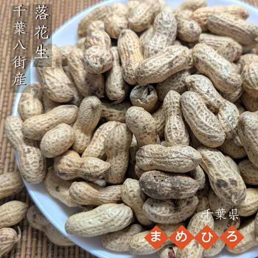 ピーナッツ 落花生 【まめひろ】 落花生 千葉半立 400g×3 八街産 千葉県八街市 ピーナッツ 落花生 【まめひろ】 落花生 千葉半立 400g×3 八街産 千葉県八街市