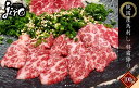 【純国産】 上霜降り（カイノミ・イチボ・肩ロースのいずれか1つ） 冷凍 90~110g 馬肉 刺身  ...