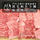 【黒毛和牛5種入り】店長お任せ焼肉セット500g(2人〜3人)鹿児島黒牛A4以上を使った極上の焼肉カルビー、赤身、極上カルビー、火打ち(入っている商品はその都度...