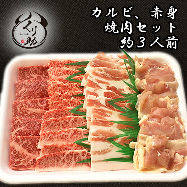 肉セット 【送料無料】カルビと赤身の定番焼肉セット！3人分〜4人分。カルビ、モモ、豚バラ、鶏モモ肉のセット。牛肉、豚肉、鶏肉全部入ったセット BBQ 鹿児島 和牛 詰め合わせ 黒毛和牛 鹿児島 焼肉 父の日 お中元 お歳暮 誕生日 内祝い