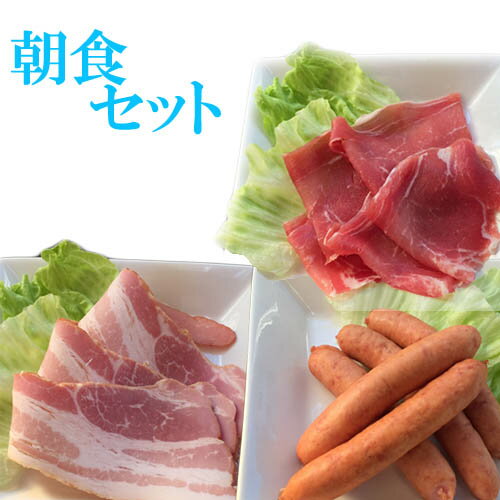 【便利な加工食品セット】生ハム75g