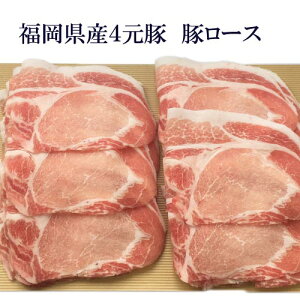 【1kg】安全安心な福岡県産ハイブリッドポークを使用、豚バラよりもあっさりしていて、女性に人気豚ロース/豚肉/国産/ヘルシー/あす楽/