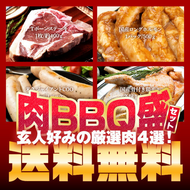 肉 福袋 玄人好みの厳選肉4選！肉盛り BBQ セット計2.5kg（Tボーンステーキ約400g/国産牛小腸ロングホルモン500g/国…