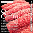 半生極ステーキ 100g The Oniku 大人のおつまみ 冷凍 高級 肉 和牛 お取り寄せグルメ 家飲み おつまみ 3