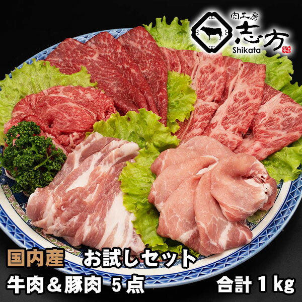 【福袋】国内産 お試しセット 牛肉＆豚肉 5点セット 1kg 詰め合わせ