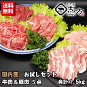 【送料無料福袋】牛肉&豚(国内産)肉 5点セット 1.5kg 国内産 お試しセット