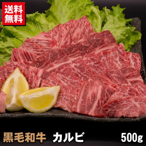 黒毛和牛 カルビ 500g 焼肉 バーベキュー BBQ