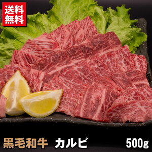 黒毛和牛焼肉用カルビ500g｜肉工房志方