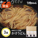 【送料無料】かけうどん 常温 半生うどん麺 3食入り メール便 / 福岡博多で行列になる店 元祖肉肉うどんの麺とスープがセットになりました。ご自宅で常温保存がで...