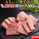 黒毛和牛 肩ロース 焼肉 A5 等級 500g 送料無料 | とろける 焼肉セット お中元 特別な　母の日　父の日　敬老の日　お歳暮　霜降　霜降り　和牛