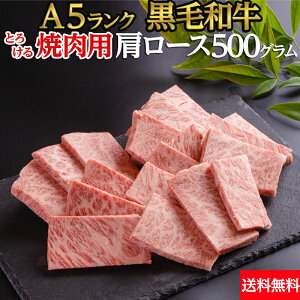 【冷凍】黒毛和牛 肩ロース 焼肉 A5ランク 500g 送料無料 | とろける 焼肉セット 鹿児島黒牛 おおいた和牛 信州プレミアム 佐賀牛 菊池出荷組合 黒樺牛 熊野牛 山形牛