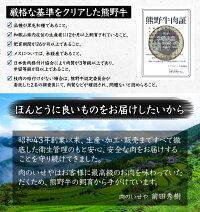 熊野牛 サーロインステーキ A4ランク A5ランク 250g×2枚 500g 【 送料無料 】 サーロイン 肉ギフト 国産 黒毛和牛 贈答 内祝 風呂敷 包装