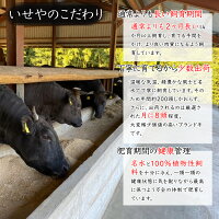 熊野牛 サーロインステーキ A4ランク A5ランク 250g×2枚 500g 【 送料無料 】 サーロイン 肉ギフト 国産 黒毛和牛 お歳暮 贈答 内祝 風呂敷 包装