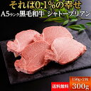 【冷凍】黒毛和牛 ステーキ シャトーブリアン フィレ A5 ランク 150g×2枚 300g 【 送料無料 】 ギフト 国産 黒毛和牛 お中元 贈答 内祝 風呂敷 鹿児島黒牛 おおいた和牛 信州プレミアム 佐賀牛 菊池出荷組合 黒樺牛 熊野牛 山形牛