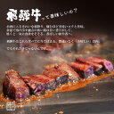 A5等級 お肉 プレミアムギフト 飛騨牛 サーロインステーキ 計450g(150g位×3枚)ステーキソース付 化粧箱入送料無料肉 ギフト 高級 和牛 黒毛和牛 牛肉 肉 霜降り肉 入学 卒業 お礼 お祝い 内祝い 誕生日 ステーキ肉 焼肉 食べ物 ひぐちのギフト お取り寄せグルメ 3