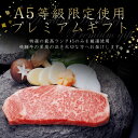 A5等級 お肉 プレミアムギフト 飛騨牛 サーロインステーキ 計450g(150g位×3枚)ステーキソース付 化粧箱入送料無料肉 ギフト 高級 和牛 黒毛和牛 牛肉 肉 霜降り肉 入学 卒業 お礼 お祝い 内祝い 誕生日 ステーキ肉 焼肉 食べ物 ひぐちのギフト お取り寄せグルメ 2