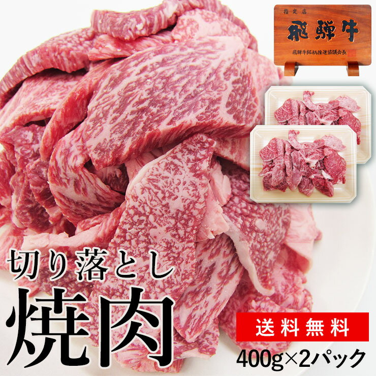 焼肉 肉 お試し 訳あり 飛騨牛 切り落とし 焼肉用 400g×2パック（800g） 送料無料 ＜2パックセットになりました！＞ BBQ 焼き肉 鉄板焼き キャンプ ソロキャン 切りおとし 切り落し 切落し 不揃い 牛肉 焼き肉