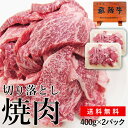 焼肉 肉 お試し 訳あり 飛騨牛 切り落とし 焼肉用 400g×2パック（800g） 送料無料 ＜2 ...